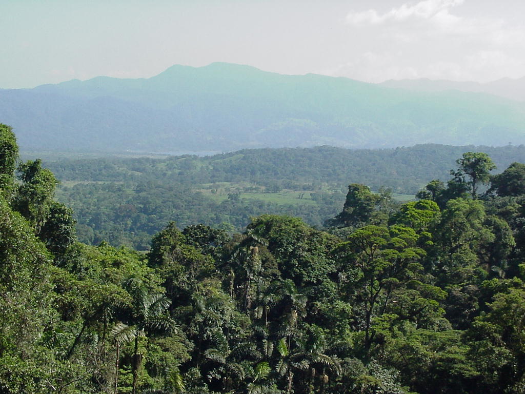 Costa Rica Project Photo